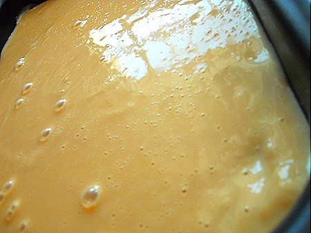 DSCN0972 DSCN0972