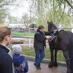 IMGP0271.JPG