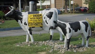 cow property sign (1)