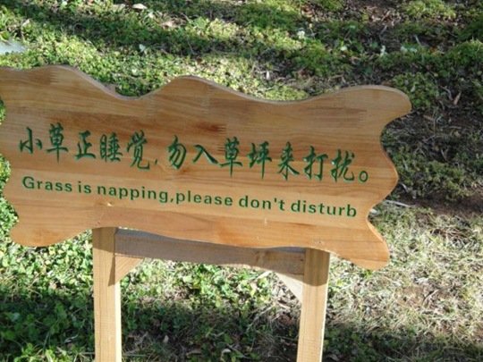 [chobbler%2520picdump%252035%255B2%255D.jpg]