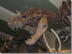 Kenosha Dinosaur Museum 016