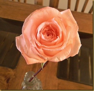 DSCN4092 DSCN4092
