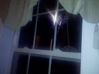 IMG_20110704_213652.jpg
