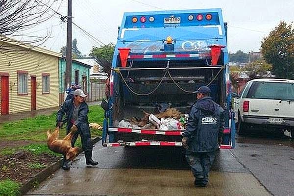 [10959342_976990788979297_1398086862050306408_n%255B2%255D.jpg]