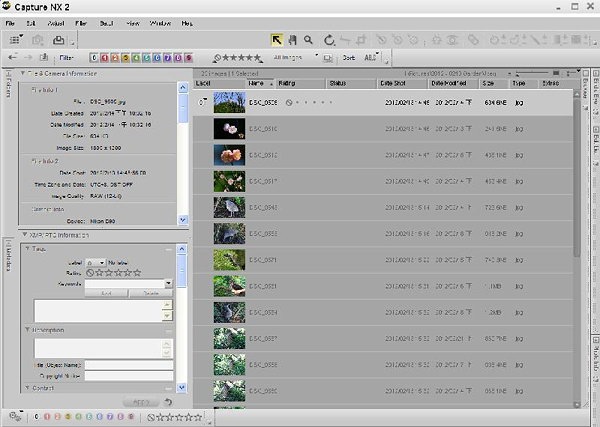 CNX2-Browser 2