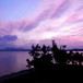 View album