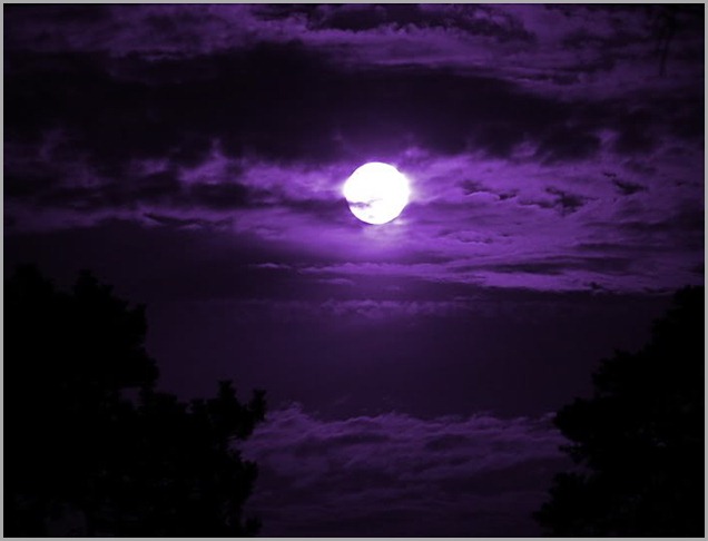 Purple_Moon
