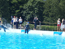 P7050932.JPG