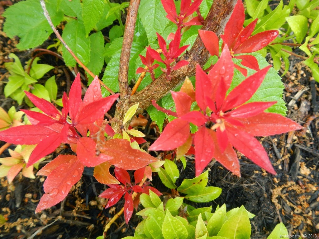 [DSCN6876%255B3%255D.jpg]