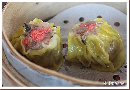 IMG_1676 IMG_1676