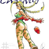 normal_cammy6.jpg