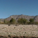 View album