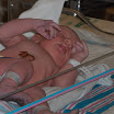 rachel and Brain lilly baby 013.JPG