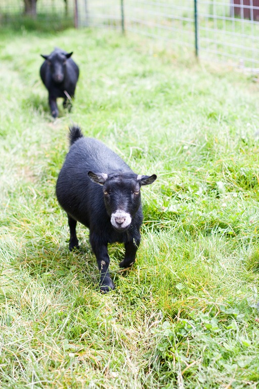 [20120728-IMG_75103.jpg]