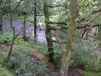DSC00324.JPG Photo