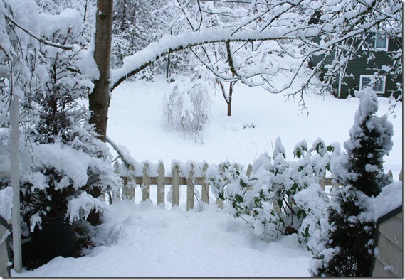 snowdays5