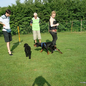 Welpenkurs Juli 2010
