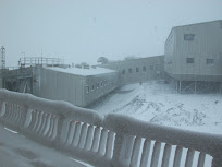 dscn0311.jpg