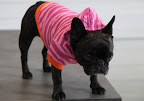 I think you look adorable!  And I feel totally comfortable in my two-tone pink animal hoodie!