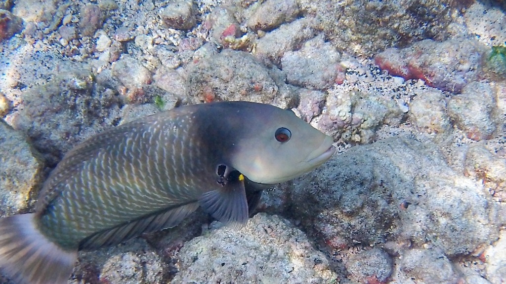 [20121217-100_07014.jpg]