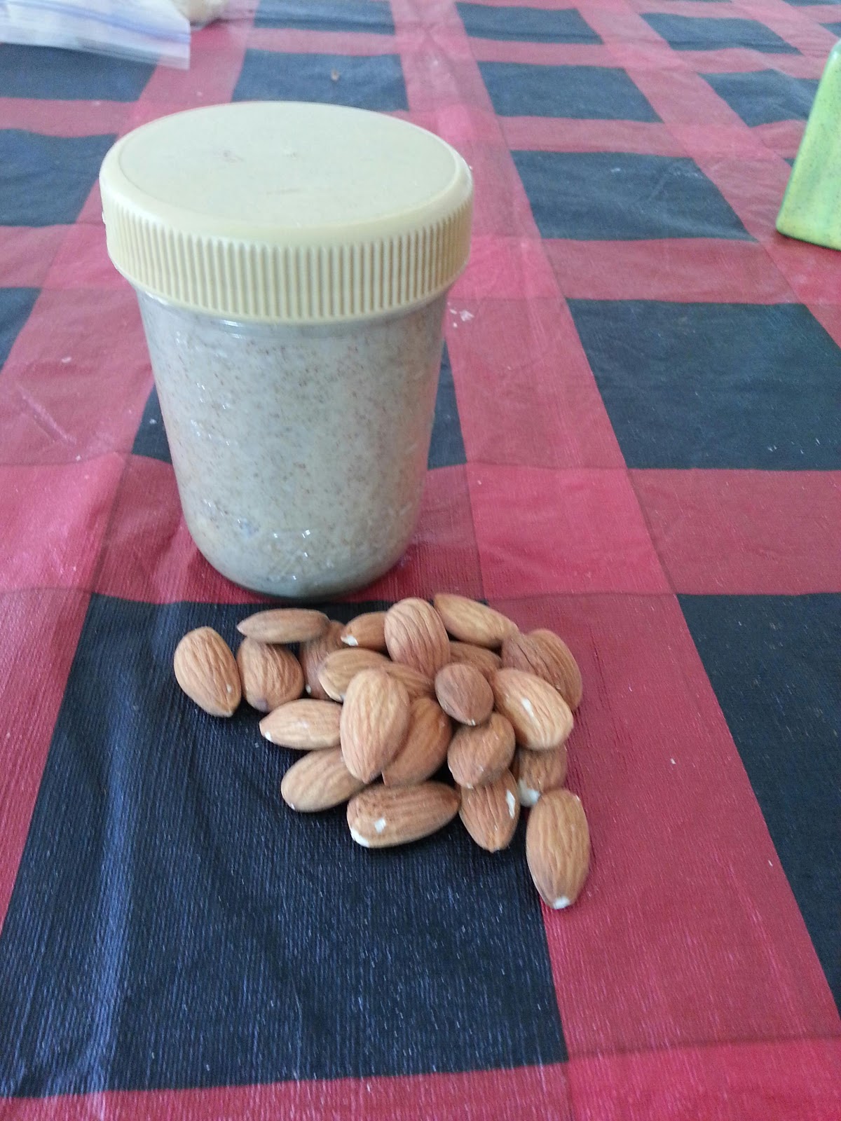Glutenfree, Dairyfree Food for Sensitive Tummies Homemade Almond Butter