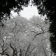 Framing