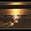 2006-02-01 @16-52-54 parc de miribel au soir 028_GF.jpg