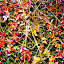 – 19-Dec-2011 – 19-Dec-2011