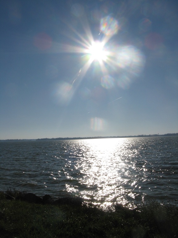 [IMG_013710.jpg]