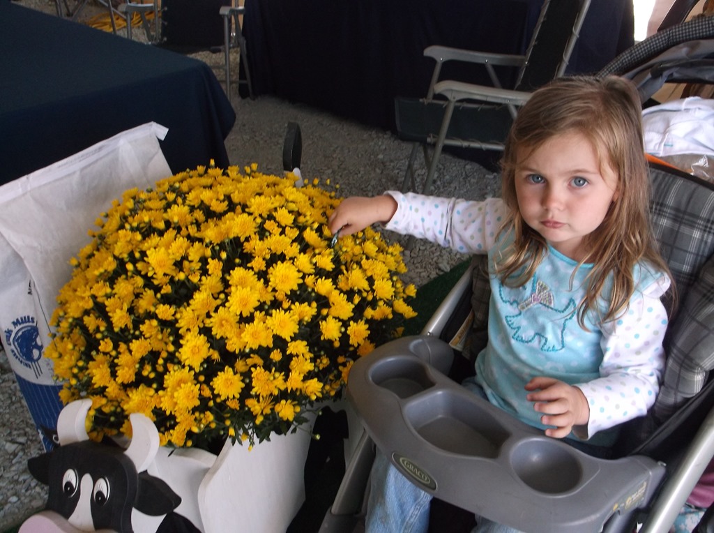 [DSCF5459%255B4%255D.jpg]