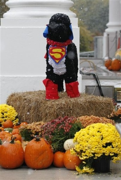 [little%2520bo%2520decoration%255B1%255D.png]