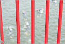 Roth_2010_127.jpg