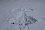 IMG_1902
