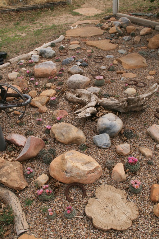 [IMG_7053%255B4%255D.jpg]