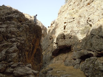 DSCN3955.jpg