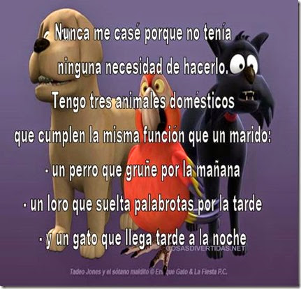 no me case 1 no me case 1