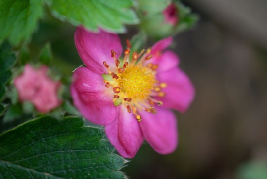 [DSC_4738%255B4%255D.jpg]