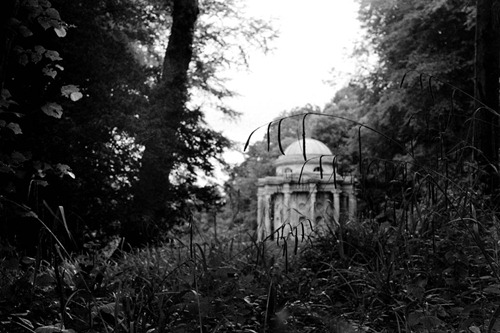 Folley-in-the-Grass---Film