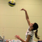 img010.jpg