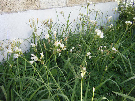 2012_10280002.jpg
