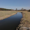 dsc07521.jpg
