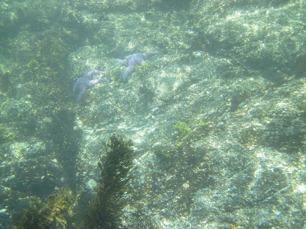 [IMG_0991%255B4%255D.jpg]