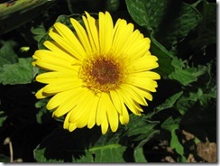 IMG_0006 IMG_0006