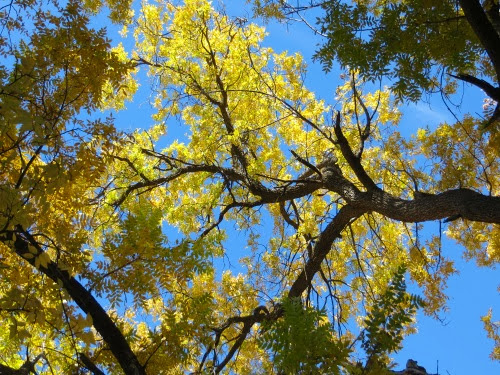 TontoNaturalBridgeStatePark-13-2013-11-8-20-53.jpg