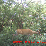 MDGC0019.JPG