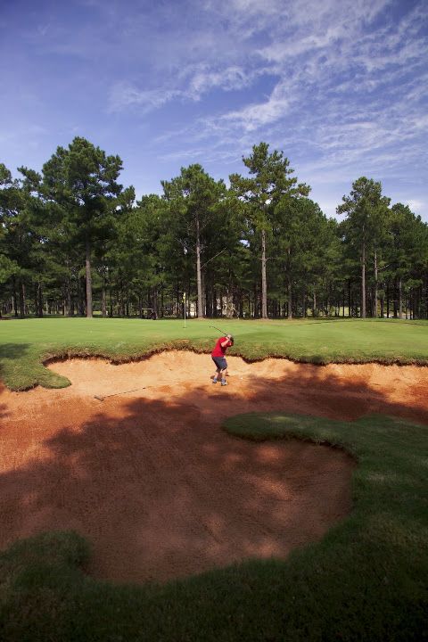 Cuscowilla_bunker_shot.jpg