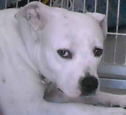 Katy, from Irving, Texas