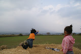 DSC01706.JPG