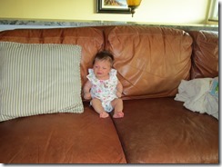 IMG_3520 IMG_3520