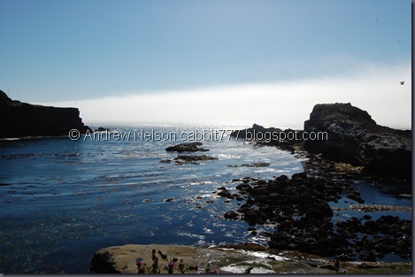 DSC_0859 DSC_0859